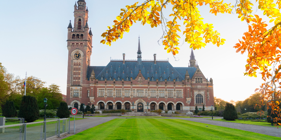The Genocide Convention and the ICJ: More Recent Developments