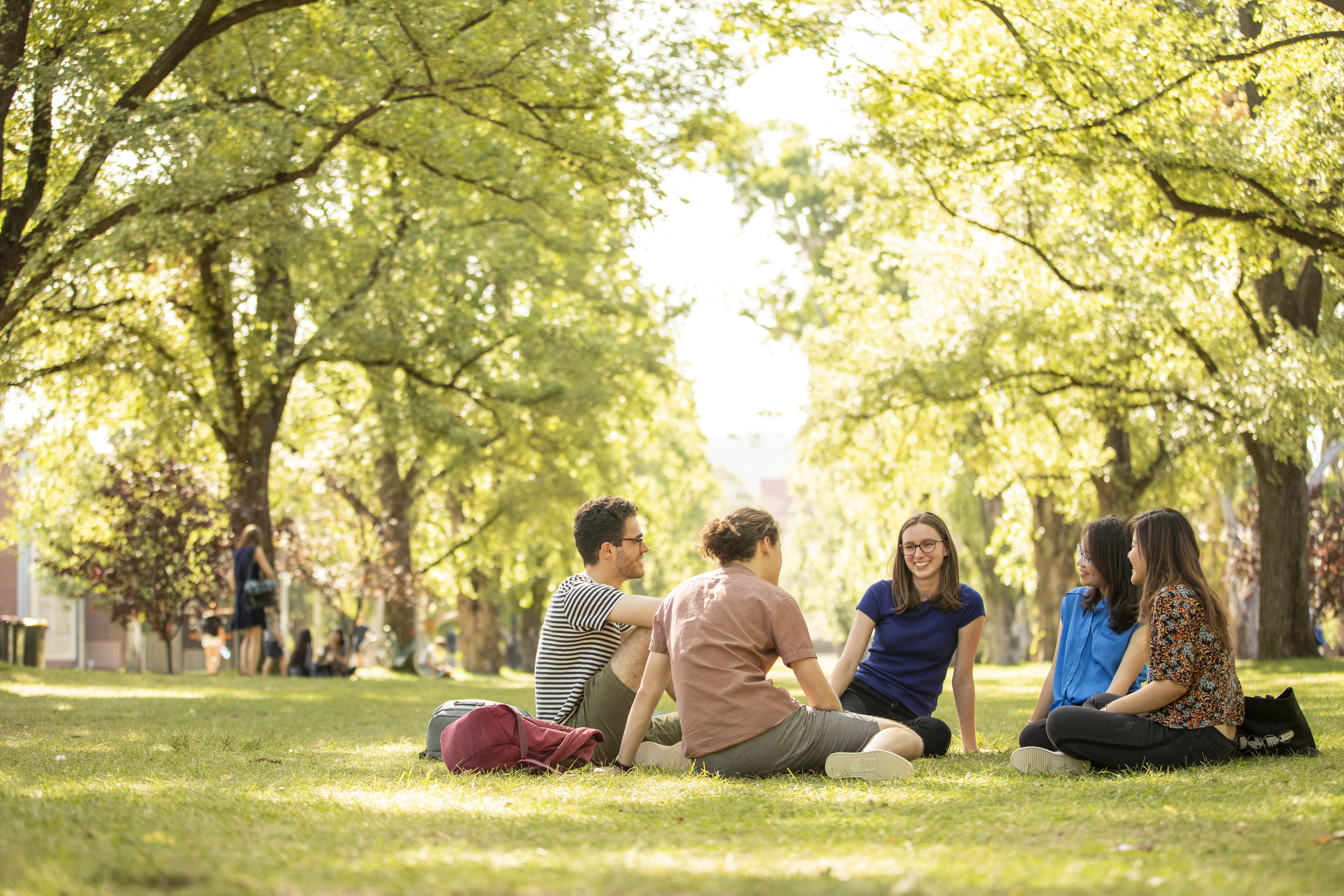 Students on lawn