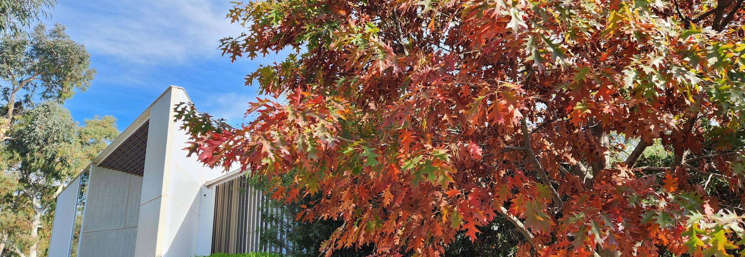ANU Moot courts autumn