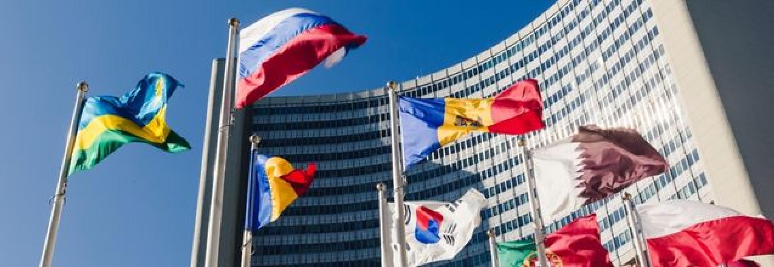 Flags at the UN