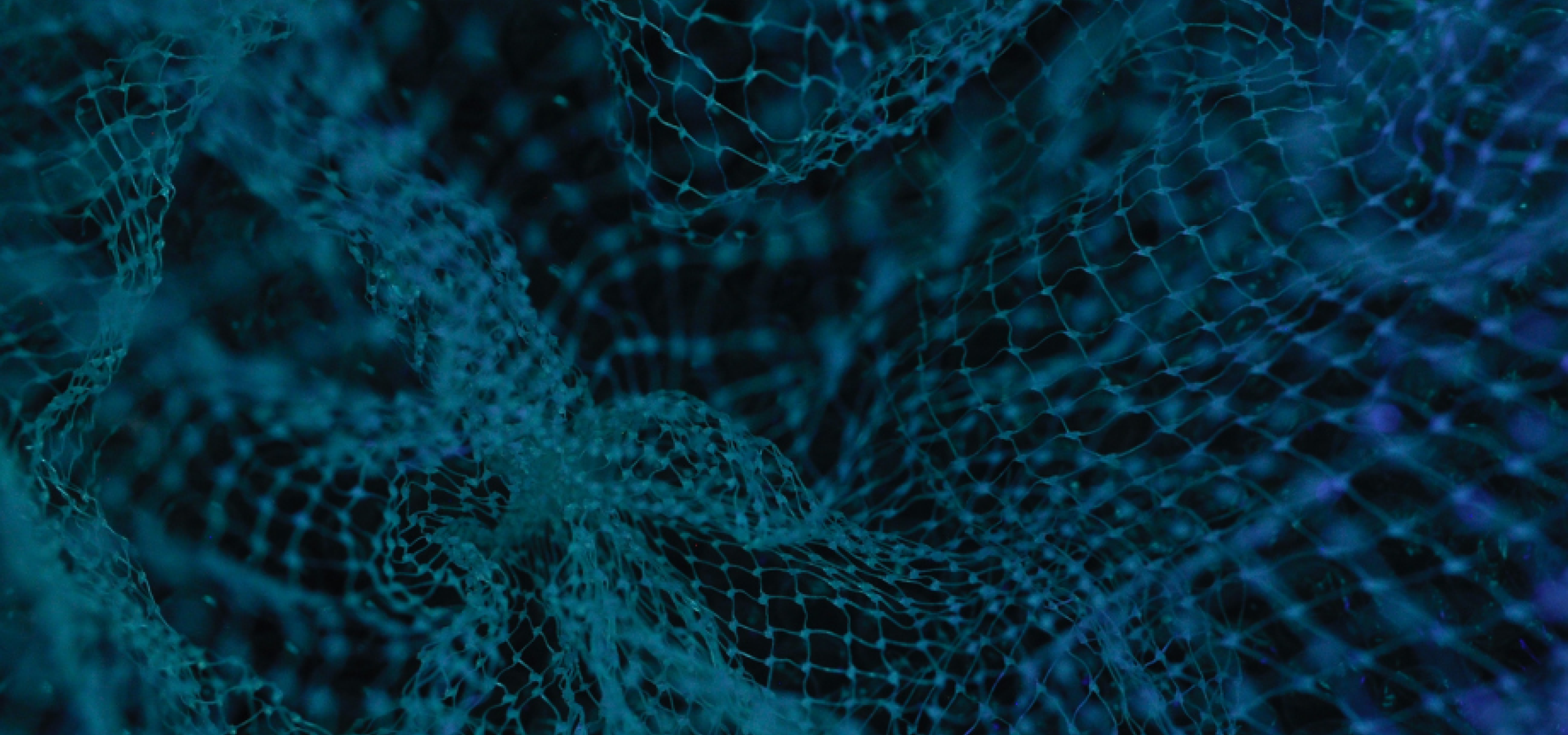 Blockchain Blockchain